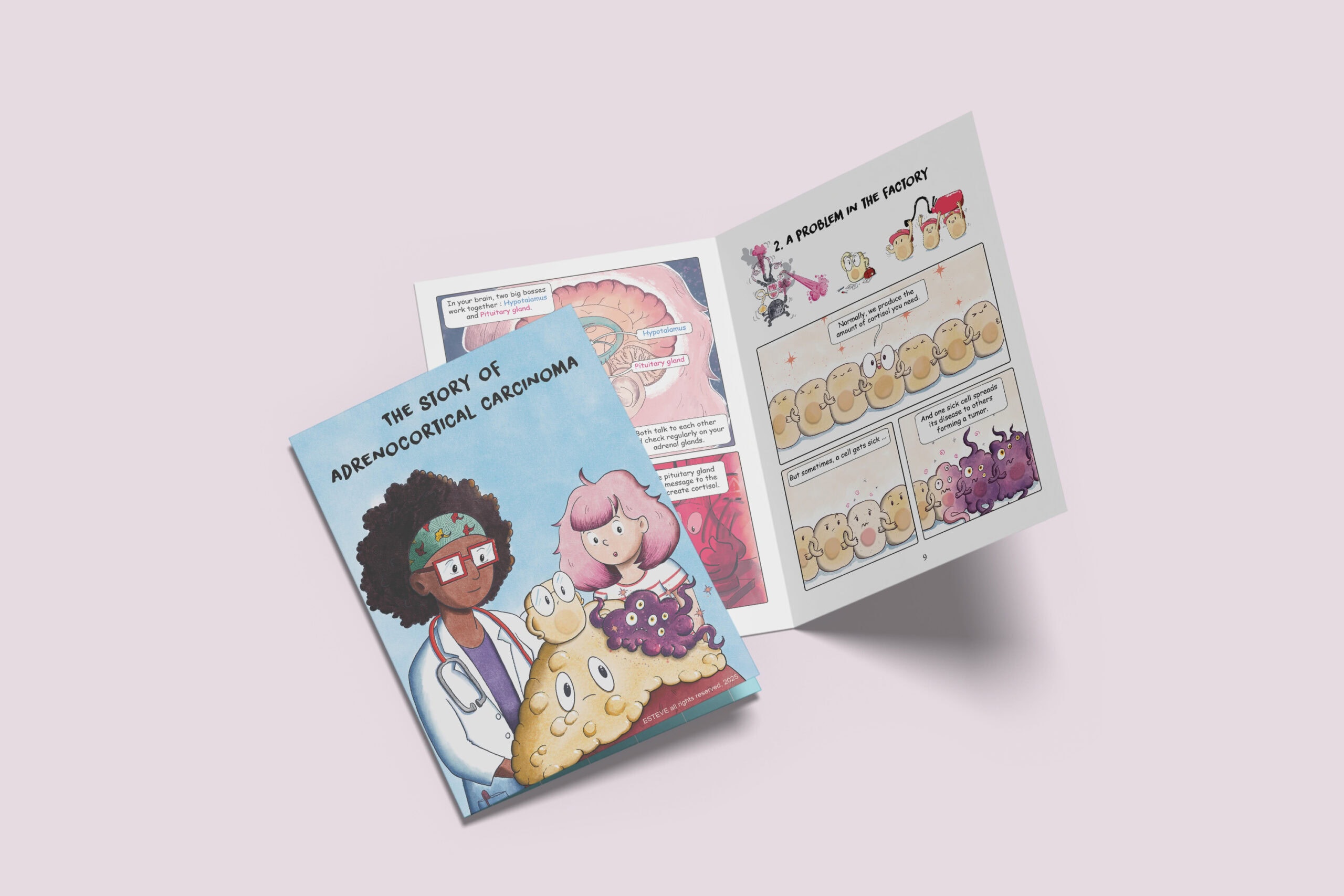 Belle brochure esteve