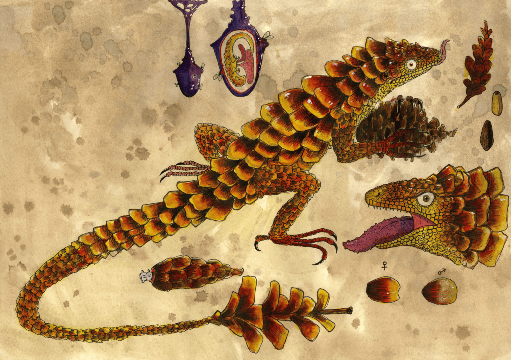 Lézard pomme de pin Illustration de lézard étrange à écailles, montrant anatomie et reproduction ancienne.